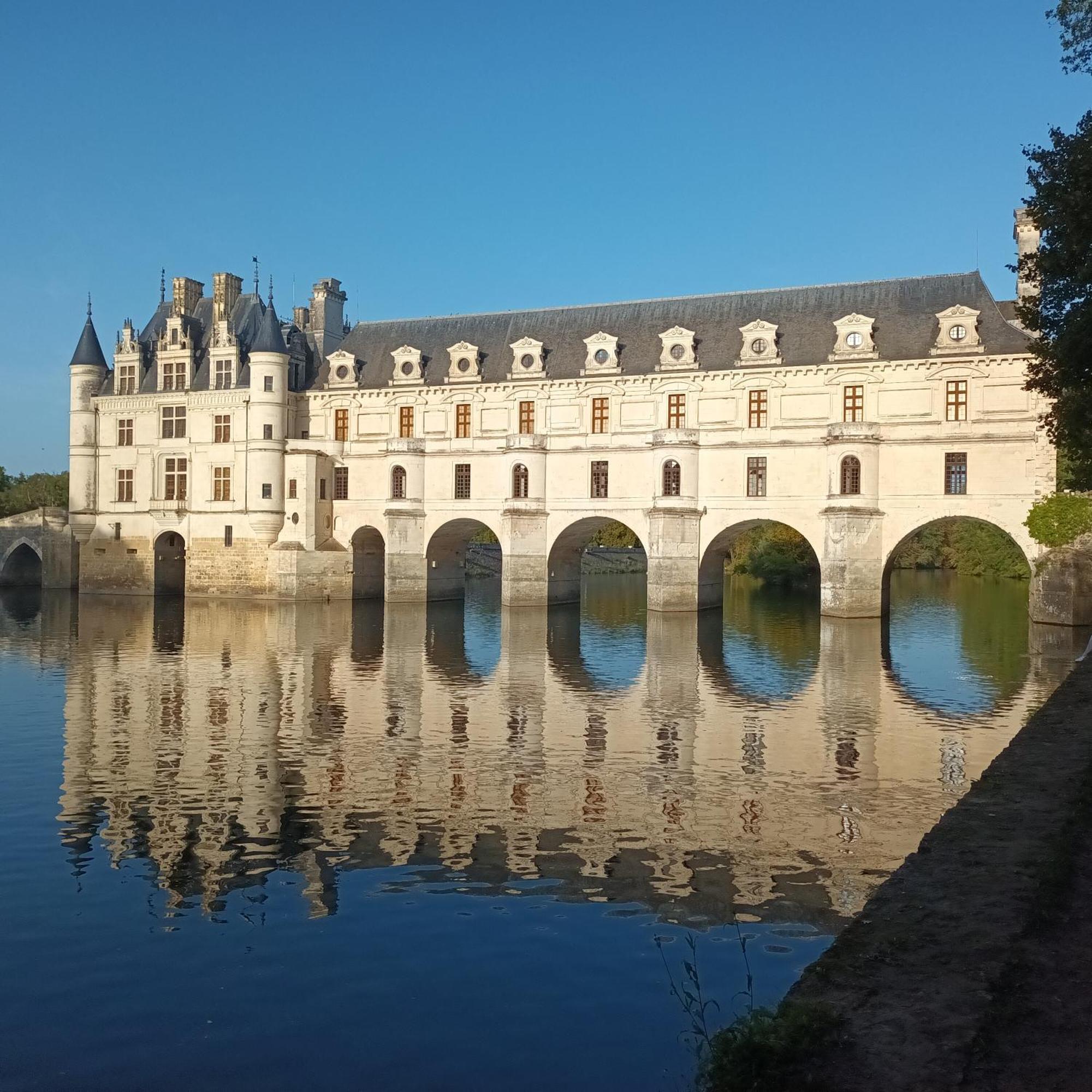 Au Nom Des Dames, Maison Et Table D'Hotes, Pres De Chenonceau Et Du Zoo De Beauval Faverolles-sur-Cher Exteriér fotografie